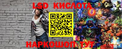 гидра Кудрово
