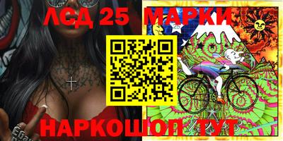 гидра Кудрово