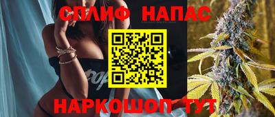 гидра Кудрово