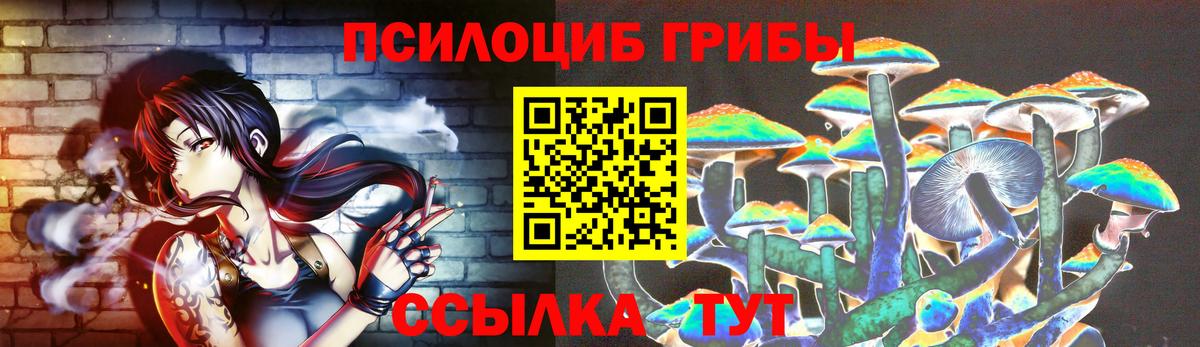 Галлюциногенные грибы Psilocybe  Вход с VPN  Бор 